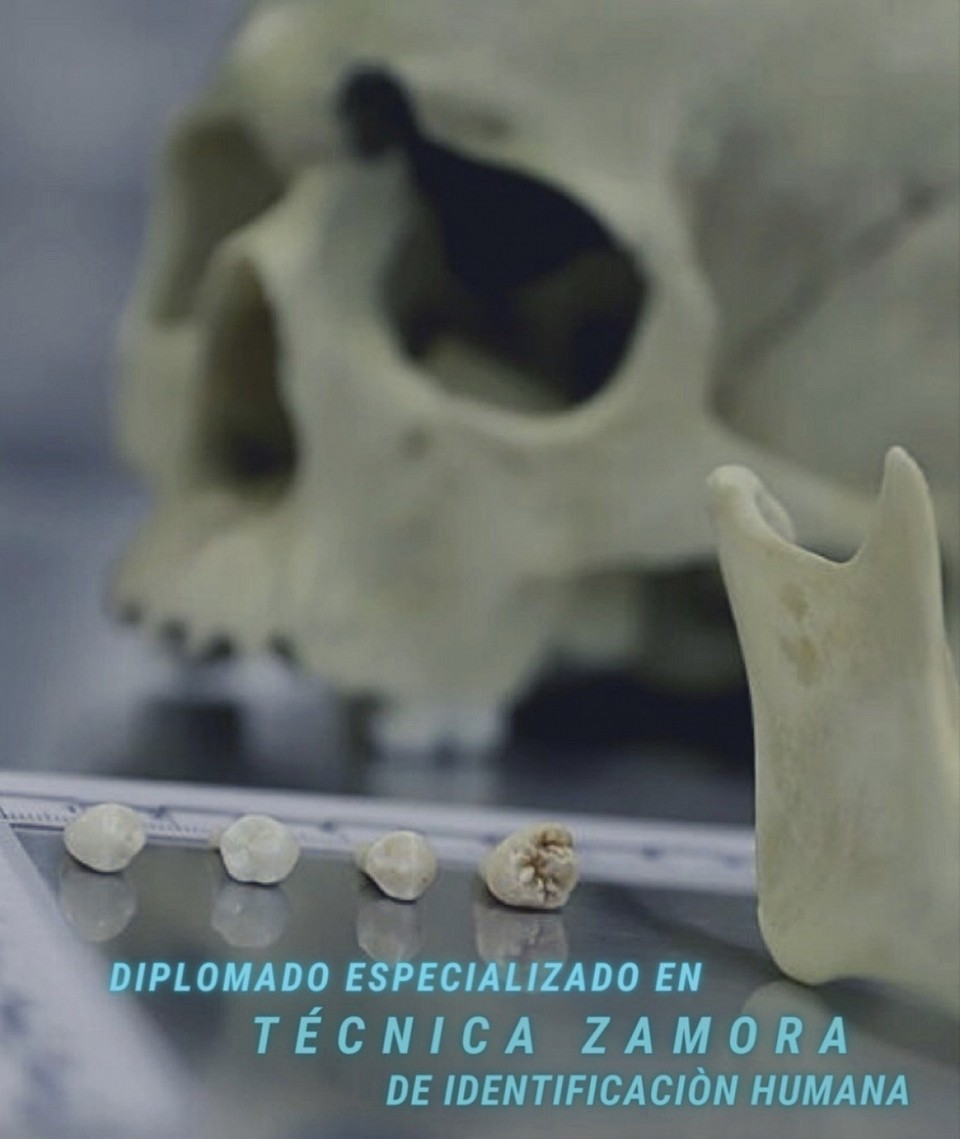 OFERTA ACADEMICA